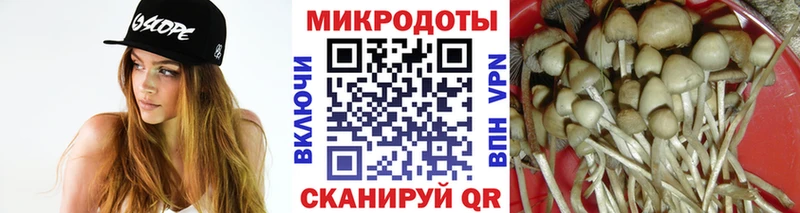 Галлюциногенные грибы Psilocybine cubensis  купить  цена  нарко площадка телеграм  Далматово 